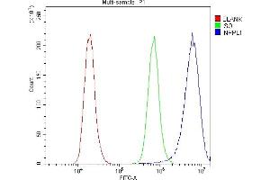Flow Cytometry analysis of A431 cells using anti-INPPL1 antibody (ABIN6719492). (INPPL1 抗体  (AA 1172-1258))