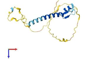 SNRPC Protein (AA 1-159) (His tag)