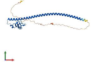 AlphaFold protein structure predicition of Mouse Recombinant Ccnb1ip1 Protein, UniprotID D3Z3K2