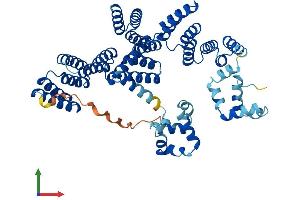 Protein Structure (PS) image for Stress-Induced-phosphoprotein 1 (STIP1) (AA 1-543) protein (His tag) (ABIN7557629)