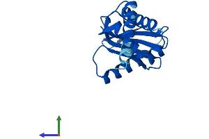 Protein Structure (PS) image for Adaptor-Related Protein Complex 1, sigma 3 Subunit (AP1S3) (AA 1-154) protein (His tag) (ABIN7558217)