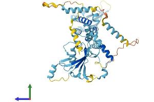 AlphaFold protein structure predicition of Human Recombinant UBXN6 Protein, UniprotID Q9BZV1