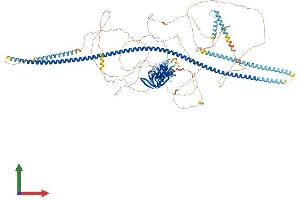 Protein Structure (PS) image for FK506 Binding Protein 15, 133kDa (FKBP15) (AA 1-1216) protein (His tag) (ABIN7564102)