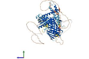 Protein Structure (PS) image for Oxysterol Binding Protein-Like 10 (OSBPL10) (AA 1-766) protein (His tag) (ABIN7565311)