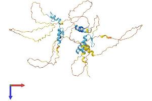 INSM2 Protein (AA 1-493) (His tag)