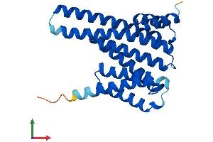 Protein Structure (PS) image for 14-3-3 gamma (YWHAG1) (AA 1-247) protein (His tag) (ABIN7556594)