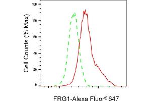 Flow cytometric analysis of FRG1 expression in HeLa cells using FRG1 antibody (ABIN7798662), 1:2,000). (Recombinant FRG1 抗体)
