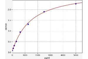 IGFBP5 ELISA 试剂盒