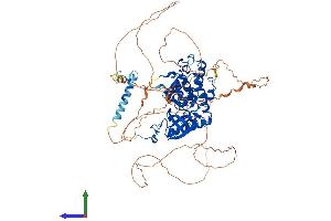 AlphaFold protein structure predicition of Mouse Recombinant Dyrk1a Protein, UniprotID Q61214