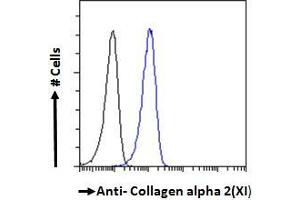 ABIN185560 Flow cytometric analysis of paraformaldehyde fixed A431 cells (blue line), permeabilized with 0. (COL11A2 抗体  (Internal Region))