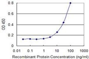 Detection limit for recombinant GST tagged DSN1 is 1 ng/ml as a capture antibody. (DSN1 抗体  (AA 257-355))