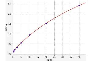 Typical standard curve (SMAD3 ELISA 试剂盒)