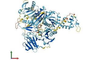 AlphaFold protein structure predicition of Mouse Recombinant Avil Protein, UniprotID O88398