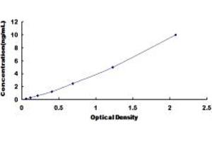 Typical standard curve (Retinoid X Receptor alpha ELISA 试剂盒)