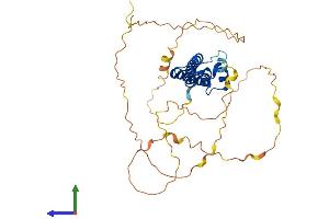 AlphaFold protein structure predicition of Mouse Recombinant Neurod6 Protein, UniprotID P48986