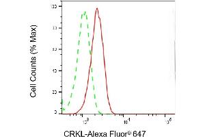 Flow cytometric analysis of CRKL expression in HT- cells using CRKL antibody (ABIN7800792), 1:2,000). (Recombinant CrkL 抗体)