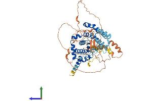 Protein Structure (PS) image for TBC1 Domain Family, Member 3B (TBC1D3B) (AA 1-549) protein (His tag) (ABIN7544237)