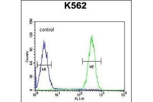 Flow Cytometry (FACS) image for anti-F-Box and WD Repeat Domain Containing 12 (FBXW12) (AA 291-320), (C-Term) antibody (ABIN654226)