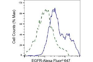 Validation of EGFR knockdown using flow cytometry. (Recombinant EGFR 抗体)