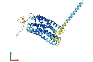 Protein Structure (PS) image for Chemokine (C-X-C Motif) Receptor 7 (CXCR7) (AA 1-362) protein (His tag) (ABIN7551854)