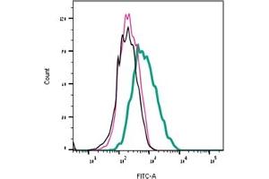 Direct flow cytometry of MmTx1 in live intact human  cells expressing GABRB3. (MmTx1 Toxin peptide (Atto 488))