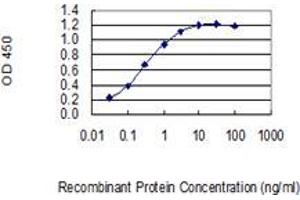 Detection limit for recombinant GST tagged AHRR is 0. (AHRR 抗体  (AA 617-715))