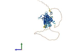 Protein Structure (PS) image for TAR (HIV-1) RNA Binding Protein 2 (TARBP2) (AA 1-365) protein (His tag) (ABIN7556816)