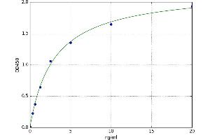 A typical standard curve (ALOX12 ELISA 试剂盒)