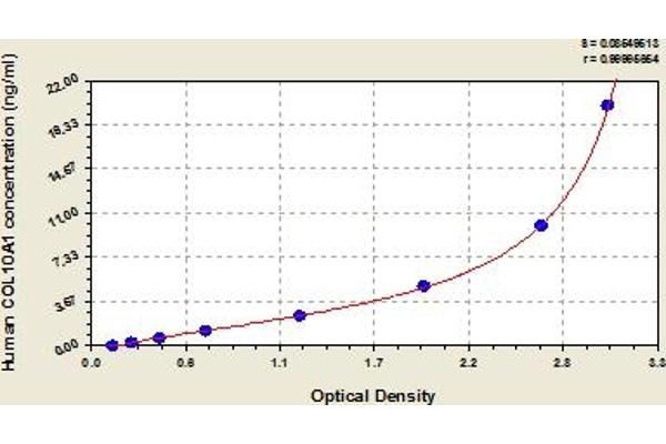 COL10A1 ELISA 试剂盒
