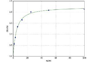 A typical standard curve (NMDA Antibody IgG ELISA 试剂盒)
