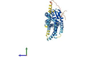 Protein Structure (PS) image for Chemokine (C-X-C Motif) Receptor 4 (CXCR4) (AA 1-359) protein (His tag) (ABIN7563531)