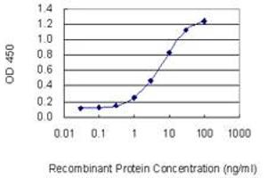 ELISA image for anti-Calponin 3, Acidic (CNN3) (AA 1-329) antibody (ABIN947715)