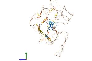 Protein Structure (PS) image for Sciellin (SCEL) (AA 1-652) protein (His tag) (ABIN7561400)