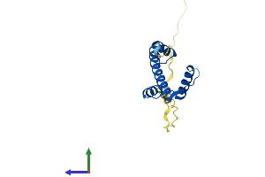 Protein Structure (PS) image for Centromere Protein A (CENPA) (AA 1-140) protein (His tag) (ABIN7553279)