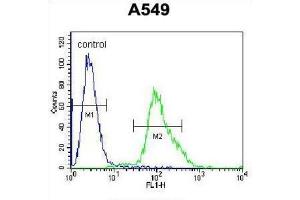Flow Cytometry (FACS) image for anti-Forkhead Box N1 (FOXN1) antibody (ABIN2996514) (FOXN1 抗体)