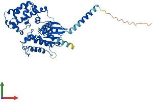 AlphaFold protein structure predicition of Human Recombinant GNA13 Protein, UniprotID Q14344