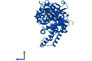 AlphaFold protein structure predicition of Mouse Recombinant Cyp2a4 Protein, UniprotID P15392