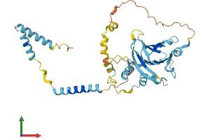 AlphaFold protein structure predicition of Human Recombinant C6orf89 Protein, UniprotID Q6UWU4 (C6orf89 Protein (AA 1-347) (His tag))