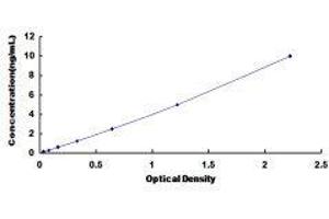 DNA (Cytosine-5)-Methyltransferase 1 (DNMT1) ELISA Kit