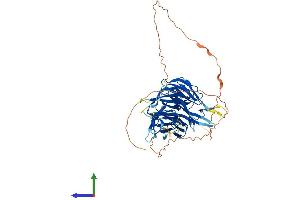 Protein Structure (PS) image for Chromatin Assembly Factor 1, Subunit B (p60) (CHAF1B) (AA 1-559) protein (His tag) (ABIN7552919)