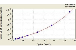 Typical Standard Curve (Lamin A/C ELISA 试剂盒)