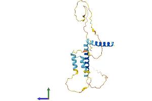 AlphaFold protein structure predicition of Mouse Recombinant Ier2 Protein, UniprotID P17950 (IER2 Protein (AA 1-221) (His tag))