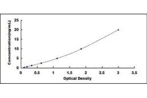 Typical standard curve (IGFBP7 ELISA 试剂盒)