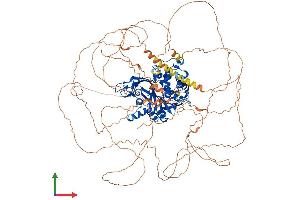 Protein Structure (PS) image for Ubiquitin Specific Peptidase 53 (USP53) (AA 1-1073) protein (His tag) (ABIN7555897)