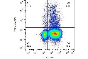 Intracellular staining of activated human peripheral blood with anti-TNF alpha (MAb11) APC. (TNF alpha 抗体  (APC))