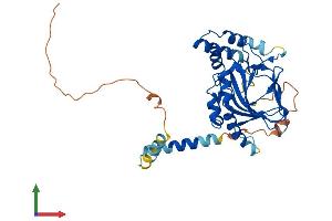 Protein Structure (PS) image for Aspartate beta-Hydroxylase Domain Containing 2 (ASPHD2) (AA 1-369) protein (His tag) (ABIN7552394)