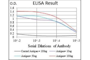 ELISA image for anti-Activated Leukocyte Cell Adhesion Molecule (ALCAM) (AA 48-216) antibody (ABIN1846221)