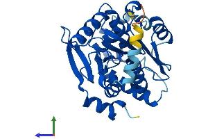 Protein Structure (PS) image for Spastic Paraplegia 21 (SPG21) (AA 1-308) protein (His tag) (ABIN7560530)
