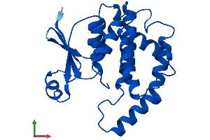 Protein Structure (PS) image for Hematopoietic Prostaglandin D Synthase (HPGDS) (AA 1-199) protein (His tag) (ABIN7548303)