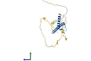 AlphaFold protein structure predicition of Human Recombinant NEUROG1 Protein, UniprotID Q92886